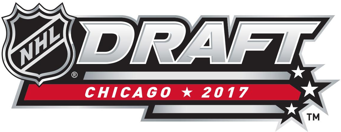 NHL Draft 2017 Alternate Logo iron on heat transfer